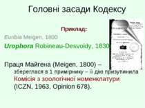 Головні засади Кодексу Приклад: Euribia Meigen, 1800 Urophora Robineau-Desvoi...