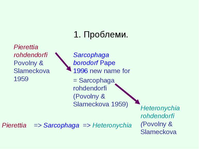 1. Проблеми. Pierettia rohdendorfi Povolny & Slameckova 1959 Sarcophaga borod...
