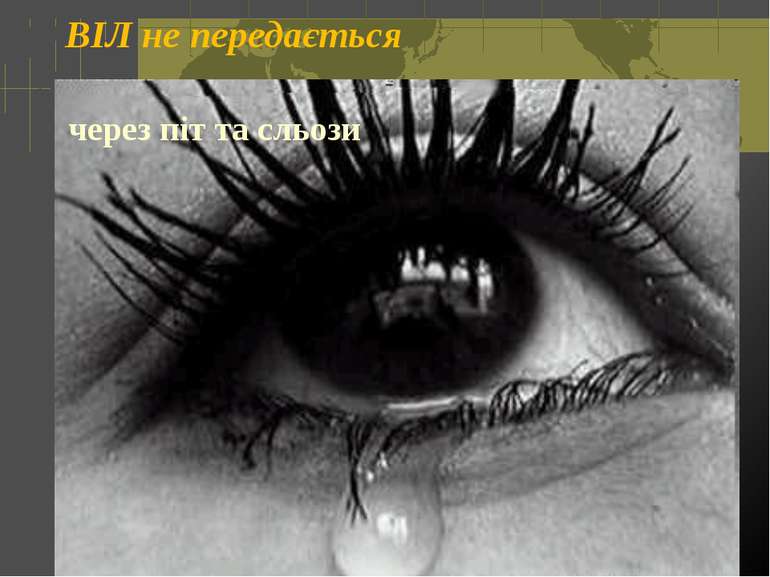 ВІЛ не передається через піт та сльози Откидач Вікторія © Київ 2006