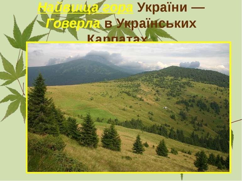 Найвища гора України — Говерла в Українських Карпатах.