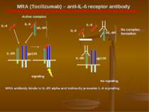 MRA (Tocilizumab) – anti-IL-6 receptor antibody MRA antibody binds to IL-6R a...