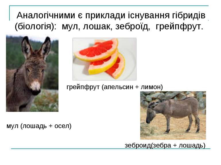 Аналогічними є приклади існування гібридів (біологія): мул, лошак, зеброїд, г...