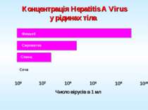 Концентрація Hepatitis A Virus у рідинах тіла Фекалії Сироватка Слина Сеча Рі...