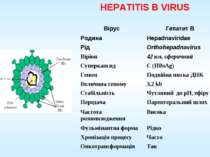 HEPATITIS B VIRUS Вірус Гепатит B Родина Hepadnaviridae Рід Orthohepadnavirus...