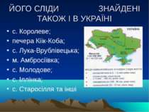 ЙОГО СЛІДИ ЗНАЙДЕНІ ТАКОЖ І В УКРАЇНІ с. Королеве; печера Кіїк-Коба; с. Лука-...