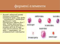 формені елементи Вигляд і відносний розмір основних клітинних елементів крові...