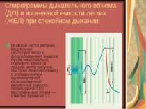 Спирограммы дыхательного объема (ДО) и жизненной емкости легких (ЖЕЛ) при спо...