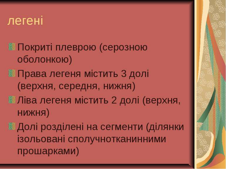 легені Покриті плеврою (серозною оболонкою) Права легеня містить 3 долі (верх...