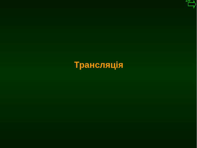 М.Кононов © 2009 E-mail: mvk@univ.kiev.ua Трансляція *