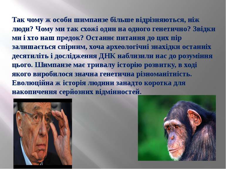 Так чому ж особи шимпанзе більше відрізняються, ніж люди? Чому ми так схожі о...