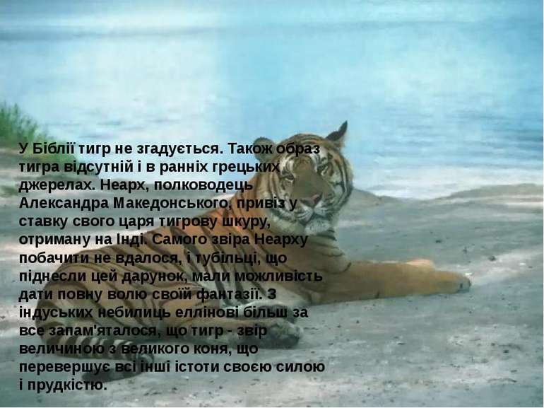 У Біблії тигр не згадується. Також образ тигра відсутній і в ранніх грецьких ...