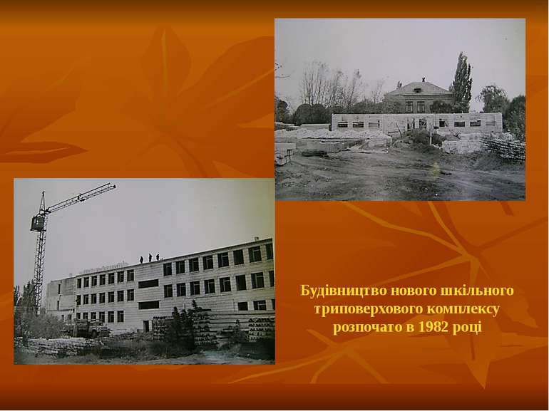 Будівництво нового шкільного триповерхового комплексу розпочато в 1982 році