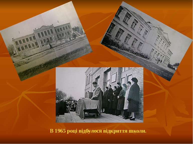 В 1965 році відбулося відкриття школи.