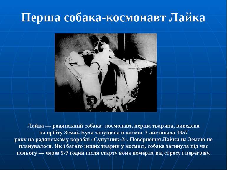 Перша собака-космонавт Лайка Лайка — радянський собака- космонавт, перша твар...