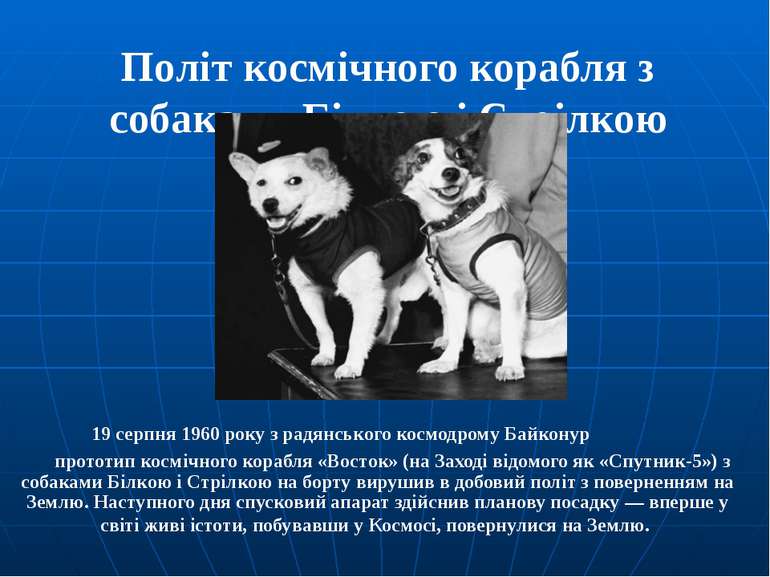 Політ космічного корабля з собаками Білкою і Стрілкою 19 серпня 1960 року з р...