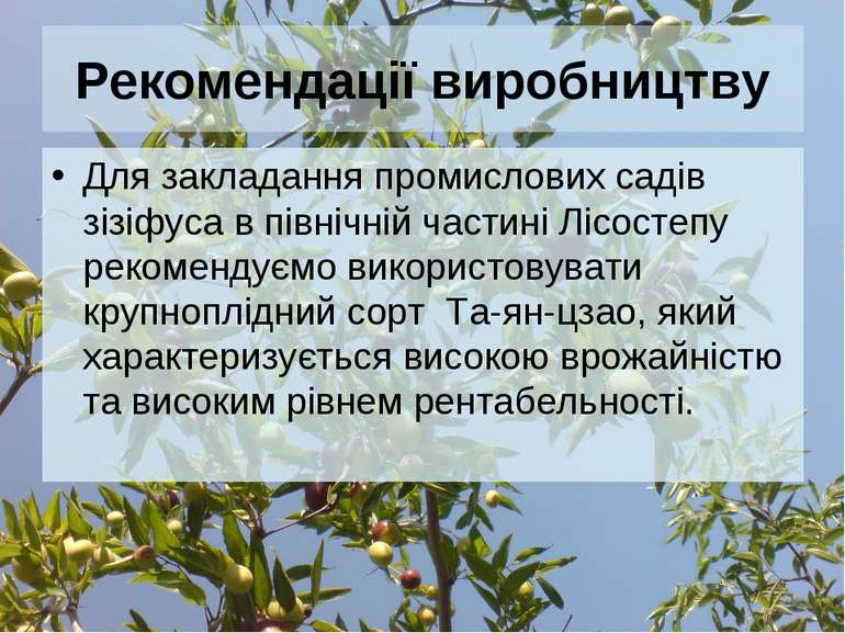 Рекомендації виробництву Для закладання промислових садів зізіфуса в північні...