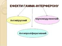 ЕФЕКТИ ГАММА-ІНТЕРФЕРОНУ Антивірусний Антипроліферативний Імуномодулюючий