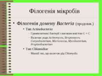 Філогенія мікробів Філогенія домену Bacteria (продовж.) Тип Actinobacteria Гр...