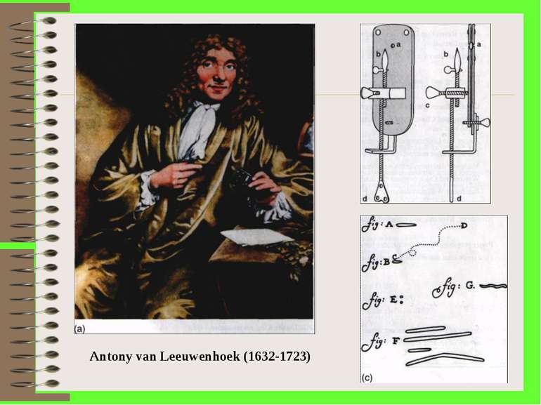 . Antony van Leeuwenhoek (1632-1723)