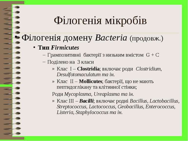 Філогенія мікробів Філогенія домену Bacteria (продовж.) Тип Firmicutes Грампо...