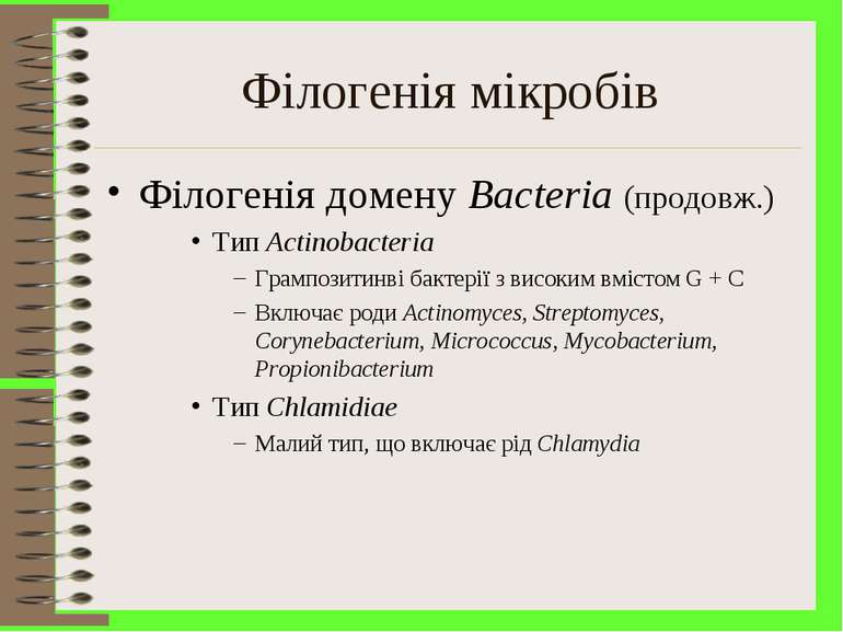 Філогенія мікробів Філогенія домену Bacteria (продовж.) Тип Actinobacteria Гр...