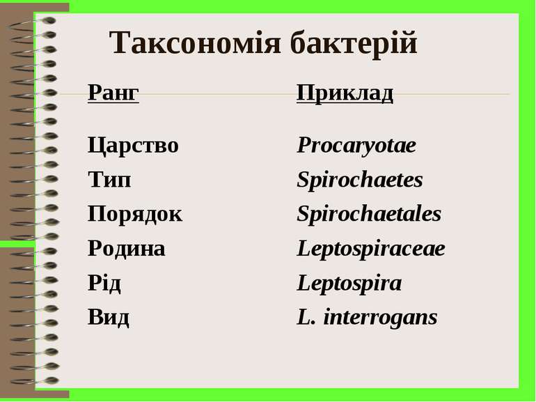 Таксономія бактерій Ранг Приклад Царство Procaryotae Тип Spirochaetеs Порядок...