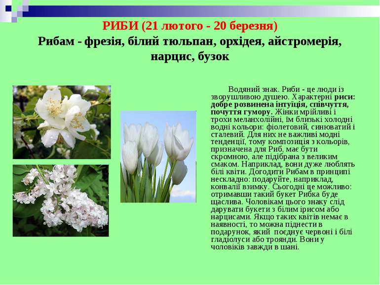РИБИ (21 лютого - 20 березня) Рибам - фрезія, білий тюльпан, орхідея, айстром...