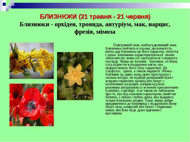 БЛИЗНЮКИ (21 травня - 21 червня) Близнюки - орхідея, троянда, антуріум, мак, ...