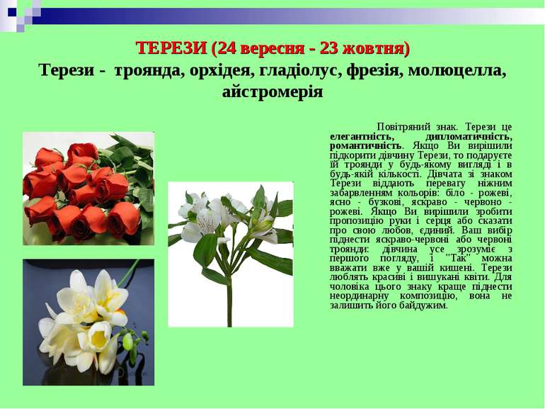 ТЕРЕЗИ (24 вересня - 23 жовтня) Терези - троянда, орхідея, гладіолус, фрезія,...