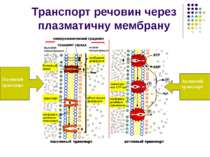 Транспорт речовин через плазматичну мембрану Пасивний транспорт Активний тран...