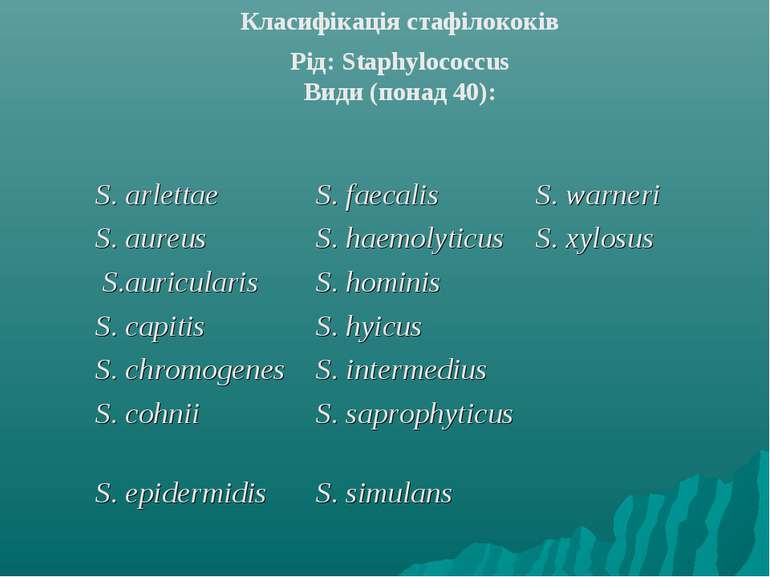 Класифікація стафілококів Рід: Staphylococcus Види (понад 40): S. arlettae S....