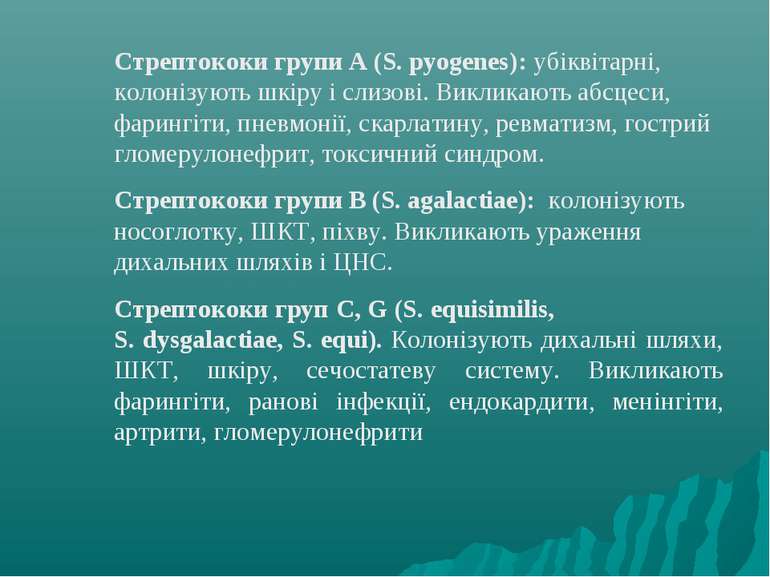 Стрептококи групи А (S. pyogenes): убіквітарні, колонізують шкіру і слизові. ...