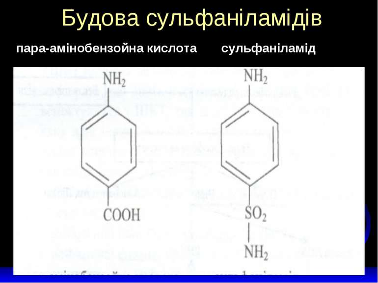 Будова сульфаніламідів пара-амінобензойна кислота сульфаніламід