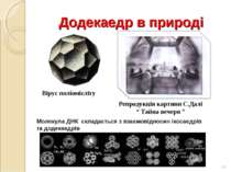 Додекаедр в природі * Вірус поліомієліту Молекула ДНК складається з взаємовід...