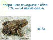 тваринного походження (біля 7 %) — 34 найменувань. жаба