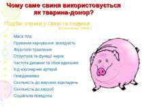 Чому саме свиня використовується як тварина-донор? Подібні ознаки у свині та ...