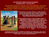 Згідно перепису населення 2001 року, в Україні проживає близько 50 тисяч ромо...