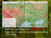 Найбільші праві притоки Дніпра - Прип`ять, Тетерів. Всього Дніпро має майже 1...