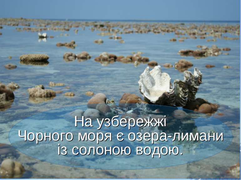 На узбережжі Чорного моря є озера-лимани із солоною водою.