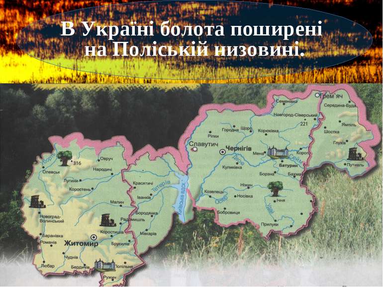 В Україні болота поширені на Поліській низовині.