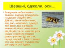 Шершні, бджоли, оси… Згадуючи небезпечних тварин, відразу приходять на думку ...