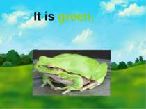 It is green.