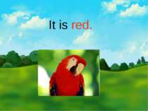 It is red.
