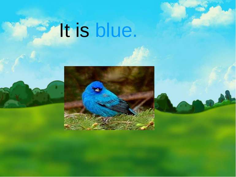 It is blue.