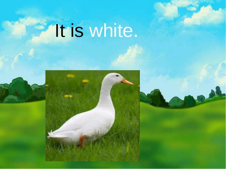 It is white.