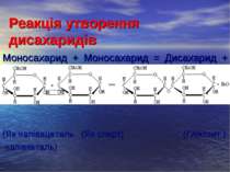 Реакція утворення дисахаридів Моносахарид + Моносахарид = Дисахарид + Н2O (Як...