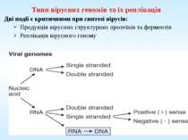 Типи вірусних геномів та їх реплікація Дві події є критичними при синтезі вір...