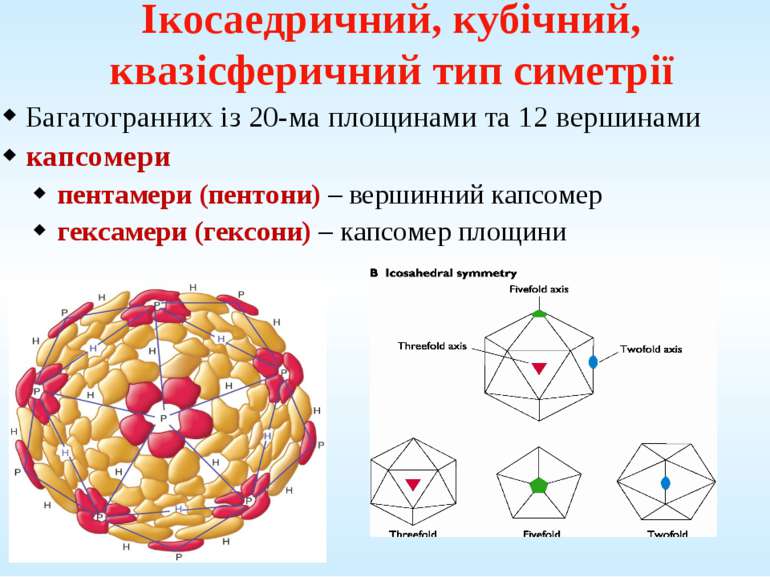 Ікосаедричний, кубічний, квазісферичний тип симетрії Багатогранних із 20-ма п...