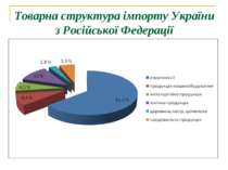 Товарна структура імпорту України з Російської Федерації