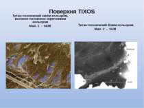 Поверхня TIXOS Титан позначений синім кольором, волокно позначене коричневим ...